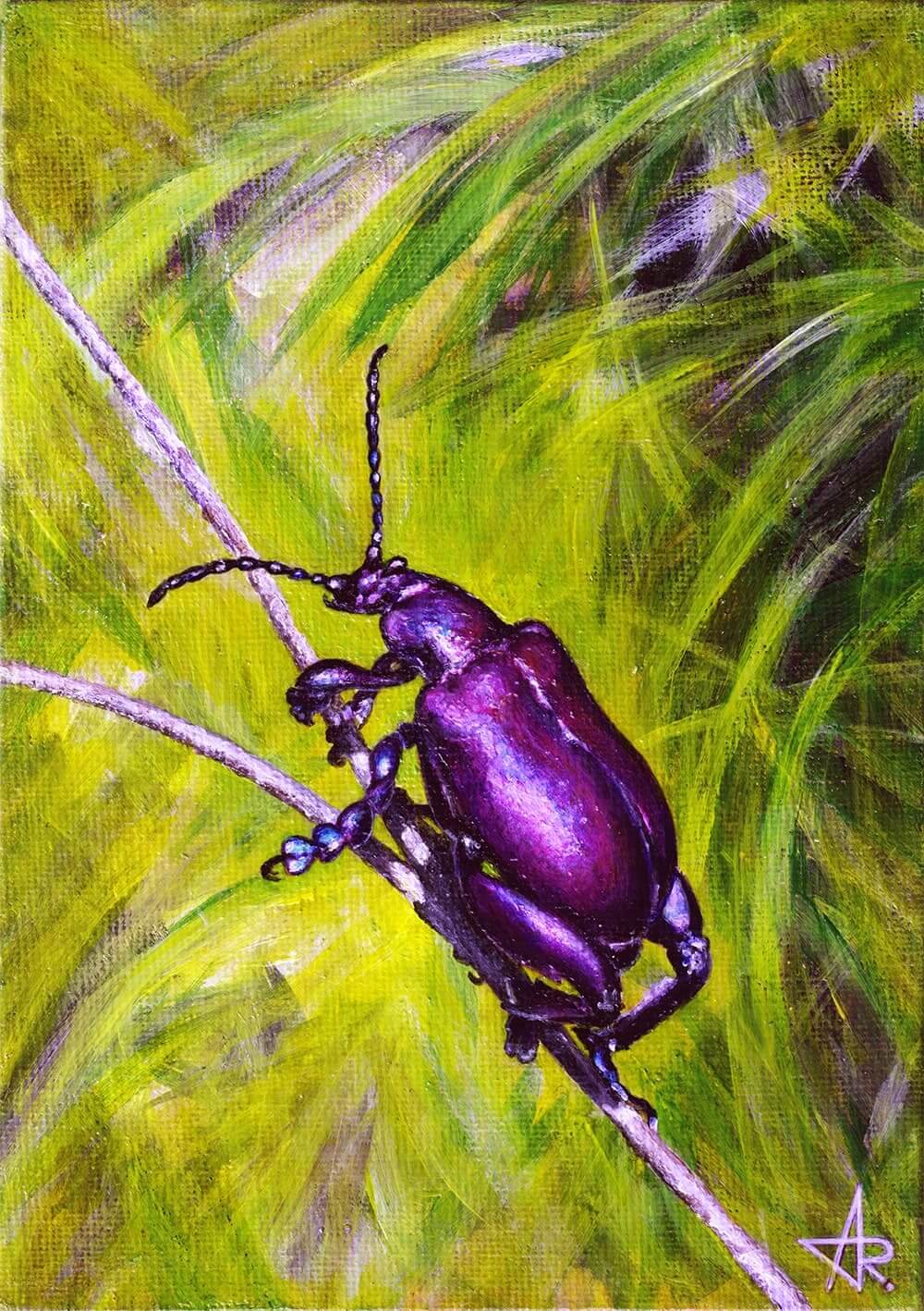 Frog-legged beetle (Sagra buqueti) 2022. Canvas on cardboard, acrylic. 18x13 cm