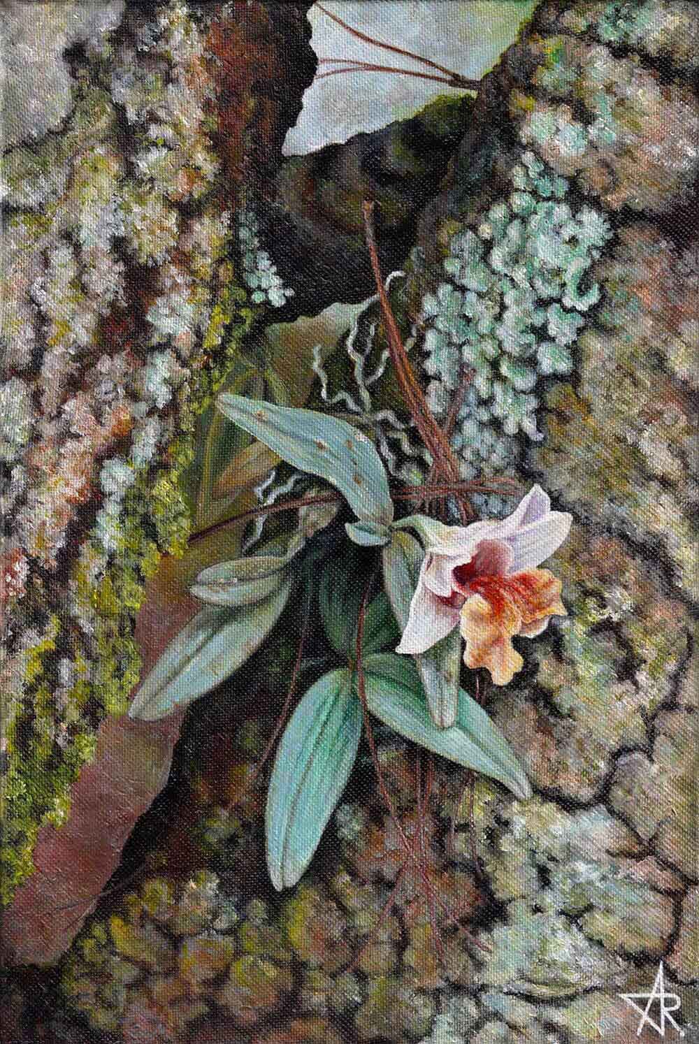 Pine forest orchid (Dendrobium bellatulum) 2023. Canvas, acrylic. 30x20 cm