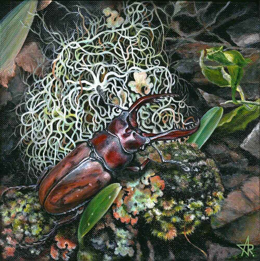 Stag beetle (Prosopocoilus astacoides) 2023. Canvas, acrylic. 20x20 cm