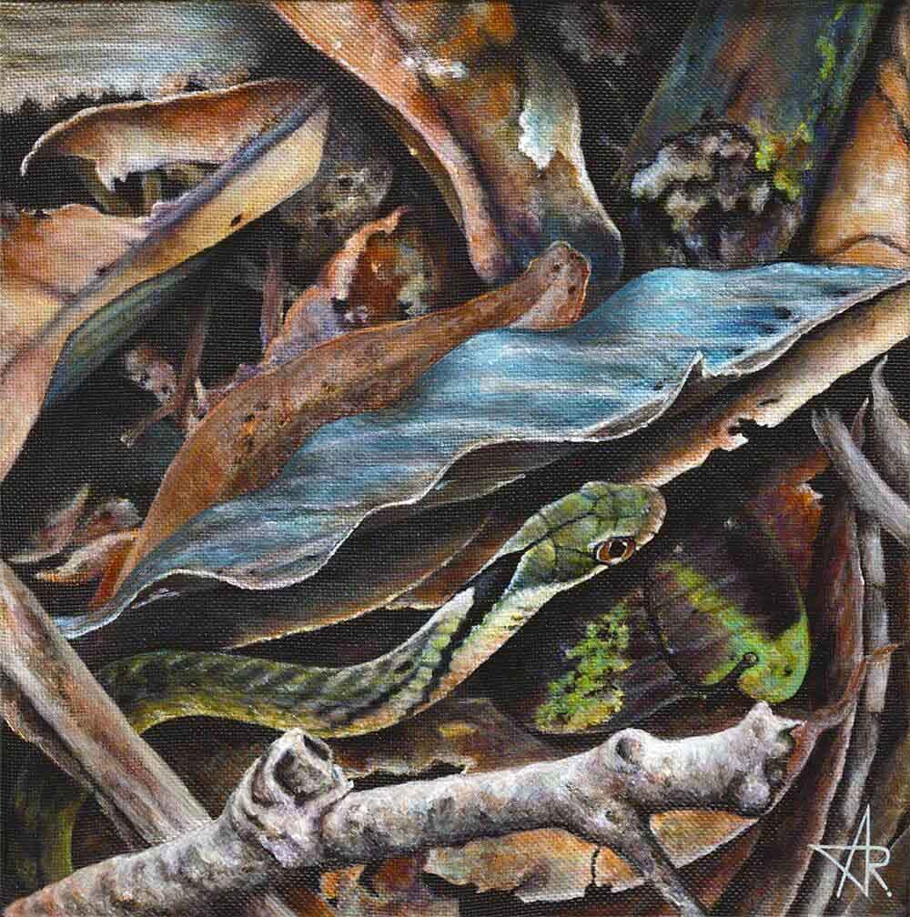 Large-eyed bamboo snake (Pseudoxenodon macrops) 2023. Canvas, acrylic. 20x20 cm