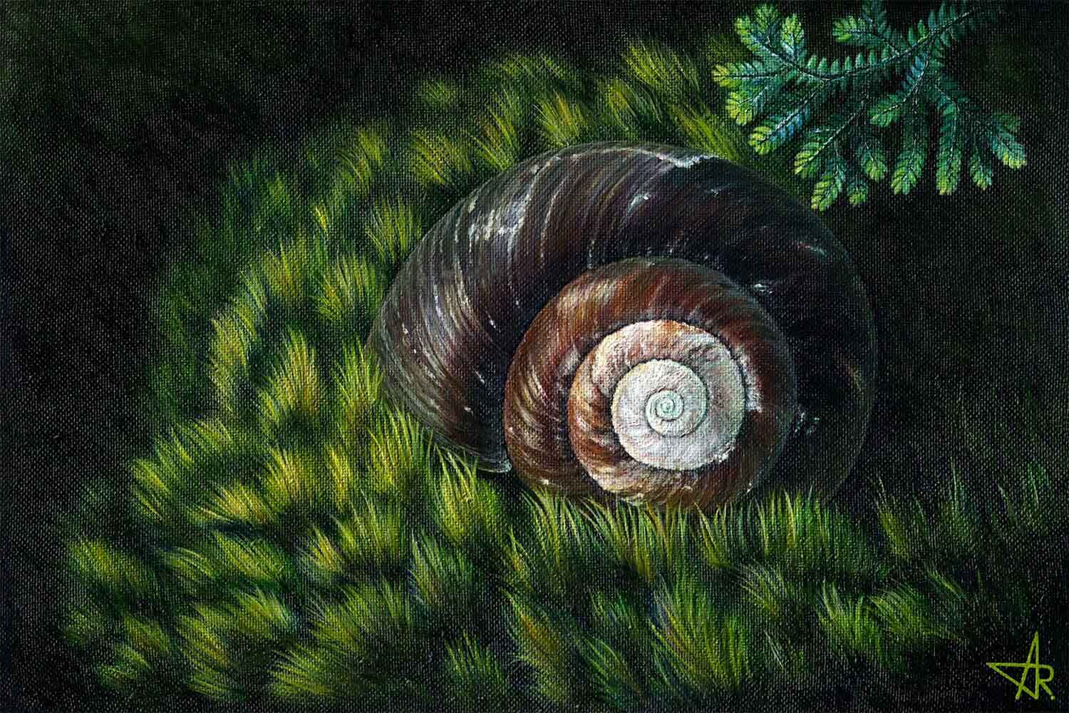 The shell of a giant snail (Bertia setzeri)2022. Canvas, acrylic. 20x30 cm